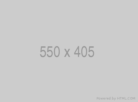 Web Application Project